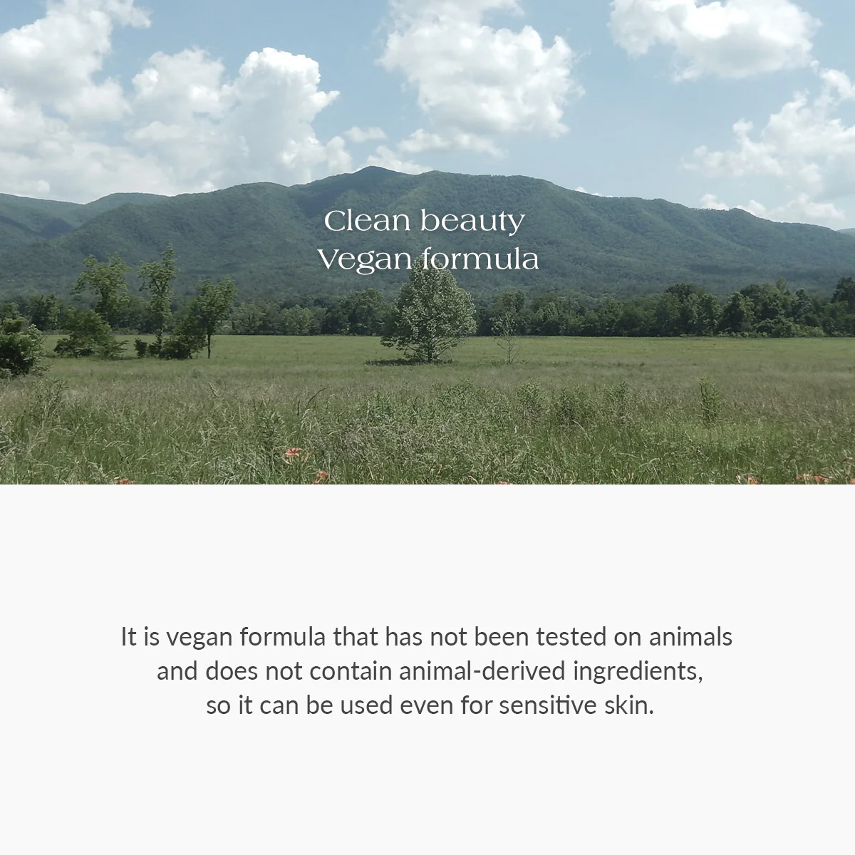 Amino Acid Gentle Bubble Cleanser - Image 7