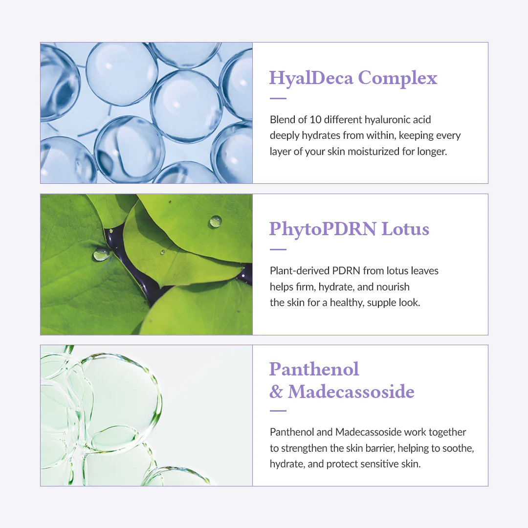 Jelly Seal Dewy Mask (Pack of 4) - Image 4