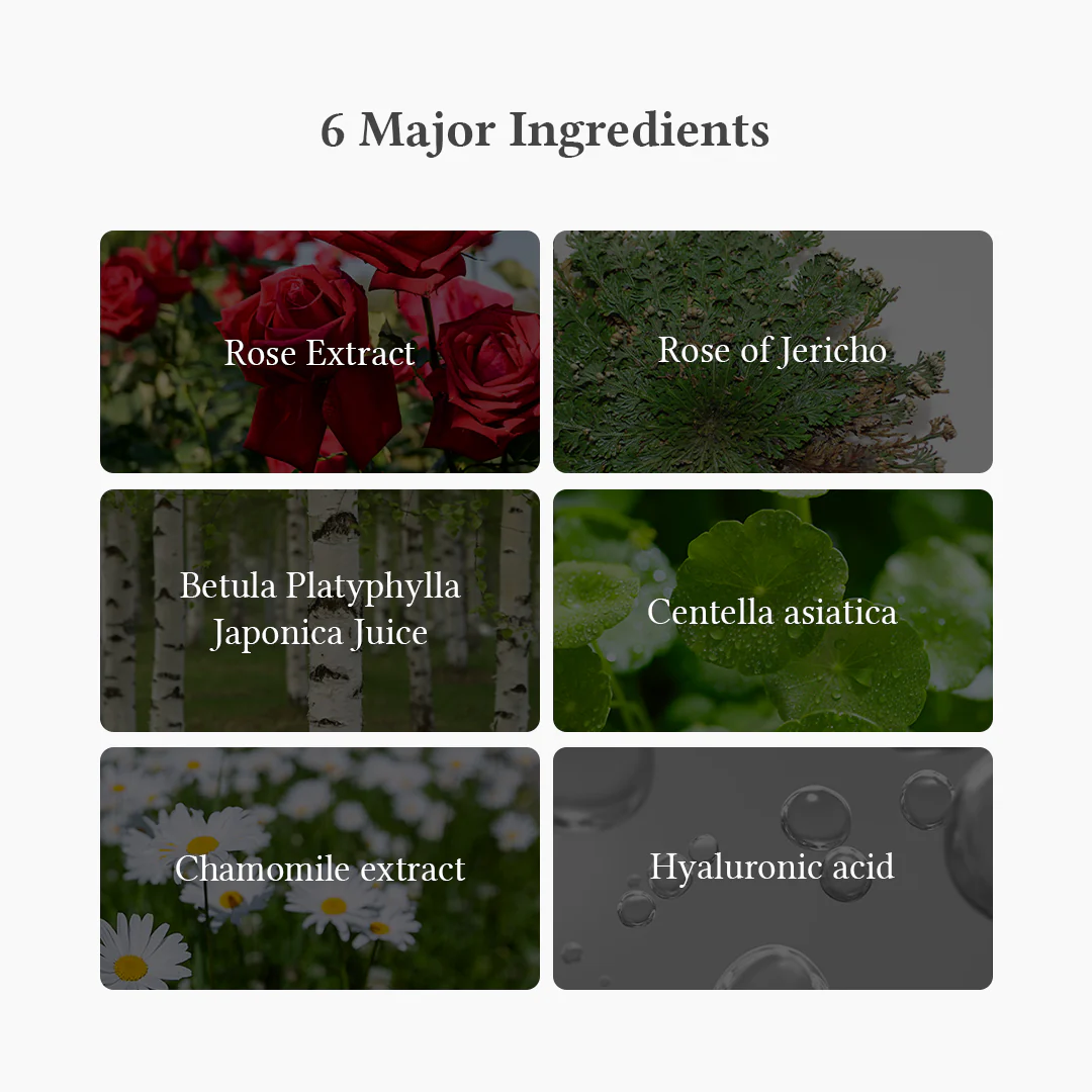 Oasis Soothing Mask (Rose of Jericho) - Image 3