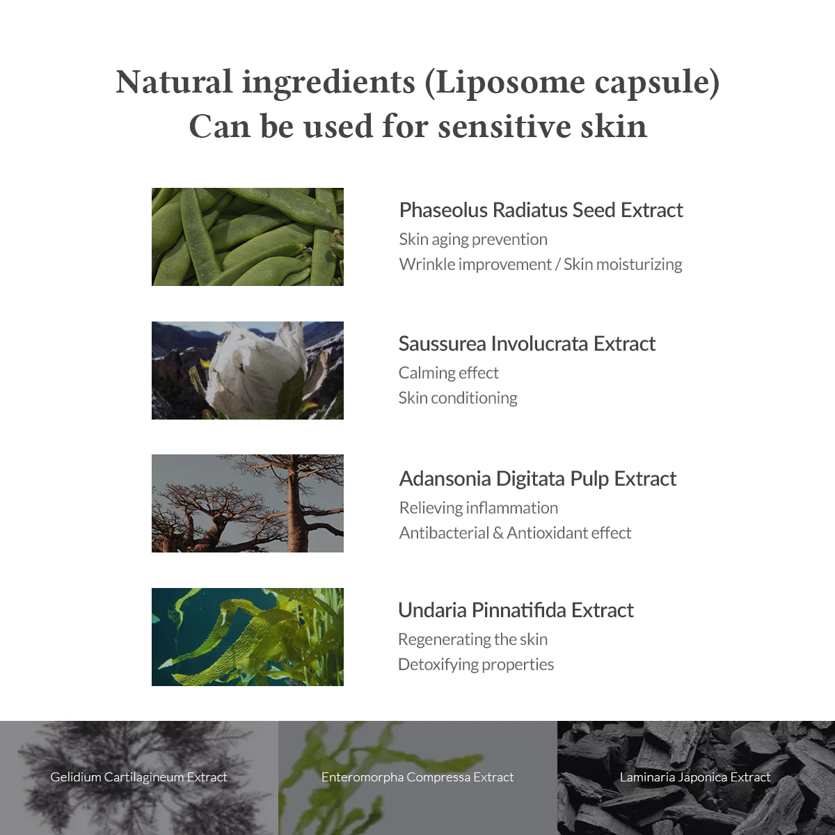 Premium Quick Step Sebum Cleanser - Image 7